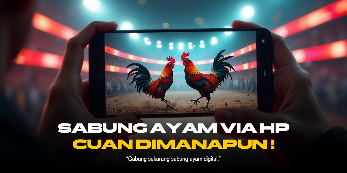 Menyingkap Rahasia Sabung Ayam: Provider, ODS, dan Varian Ayam Andalannya