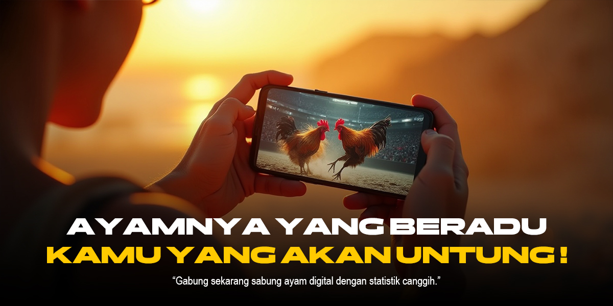 Rahasia Dinamika Sabung Ayam: Lebih Dari Sekadar Pertarungan