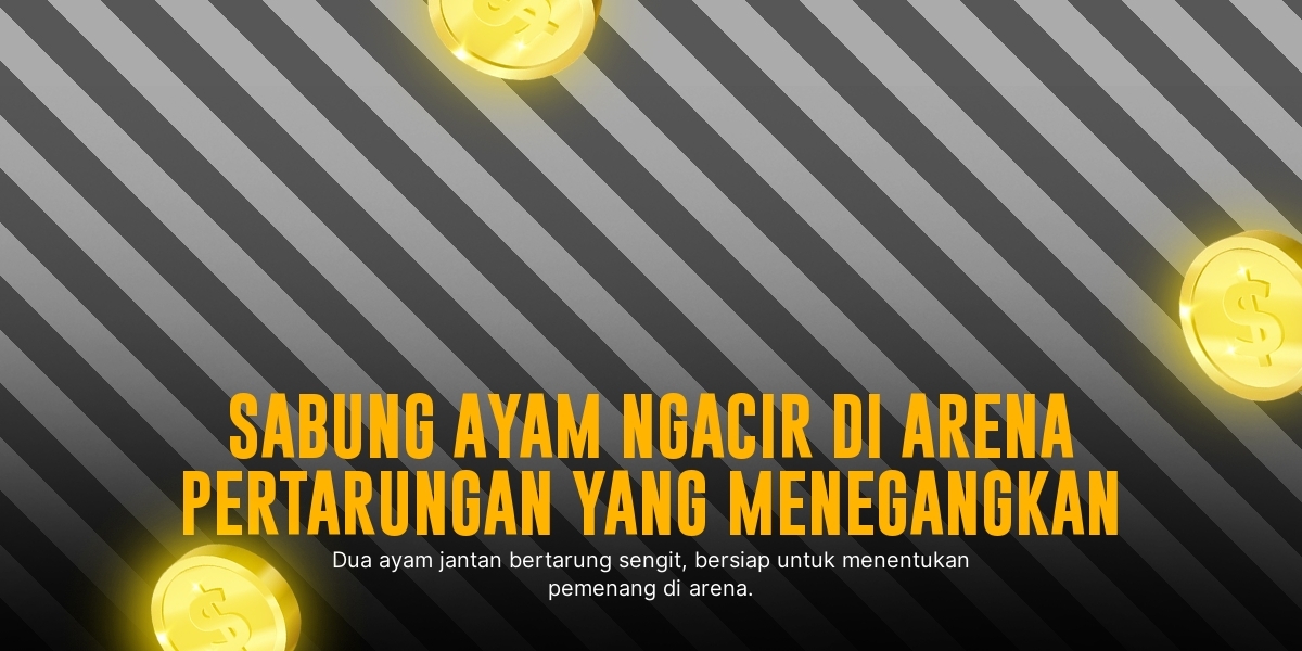 Mengenal Jenis Ayam Aduan Terpopuler di SV388